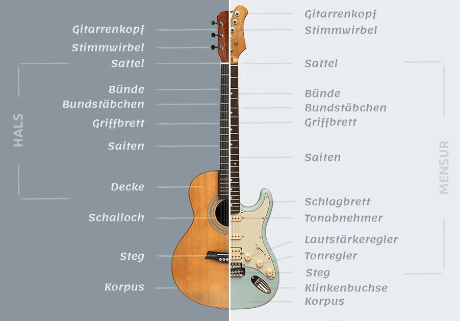 Grafik mit detaillierter Darstellung der einzelnen Bauteile von Akustik- und E-Gitarren.
